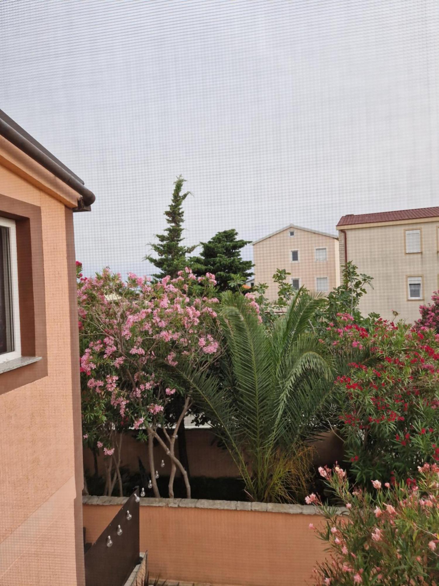 Aurelia Apartments, Apartman
